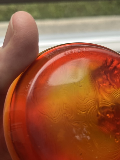 A Very Rare Orange Lalique Small Dish-photo-2