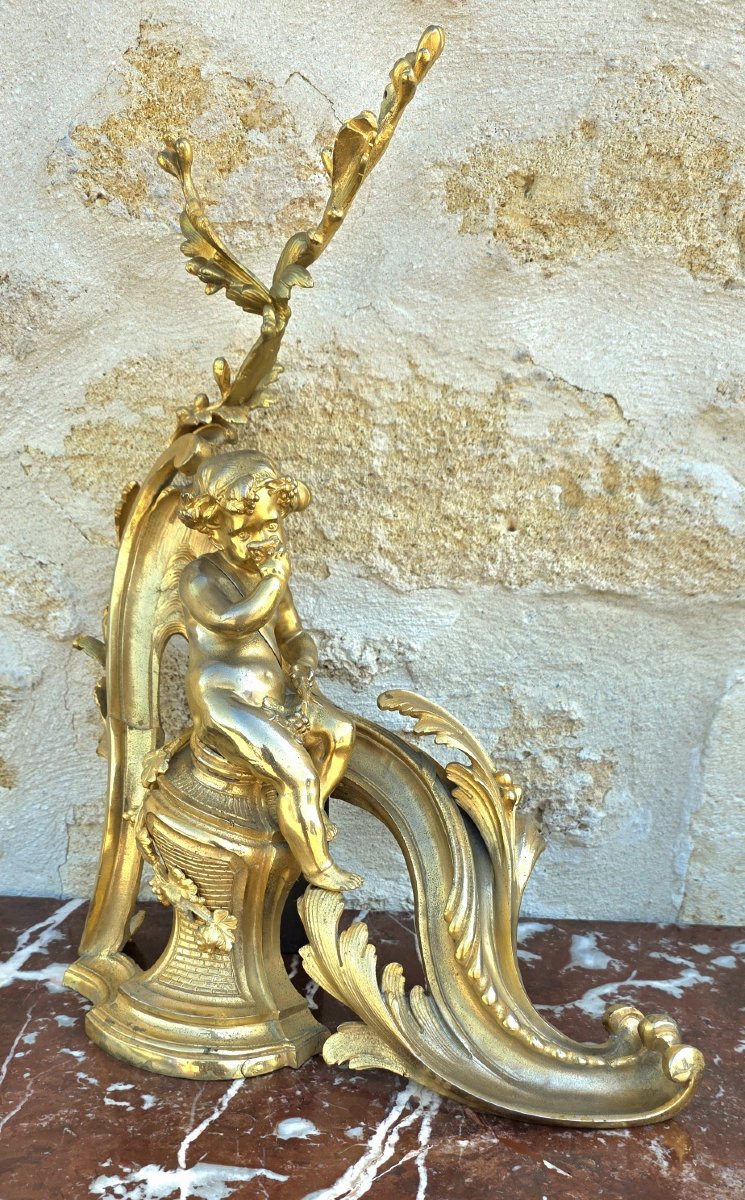 Paire de chenets au bacchus enfant en bronze doré-photo-2