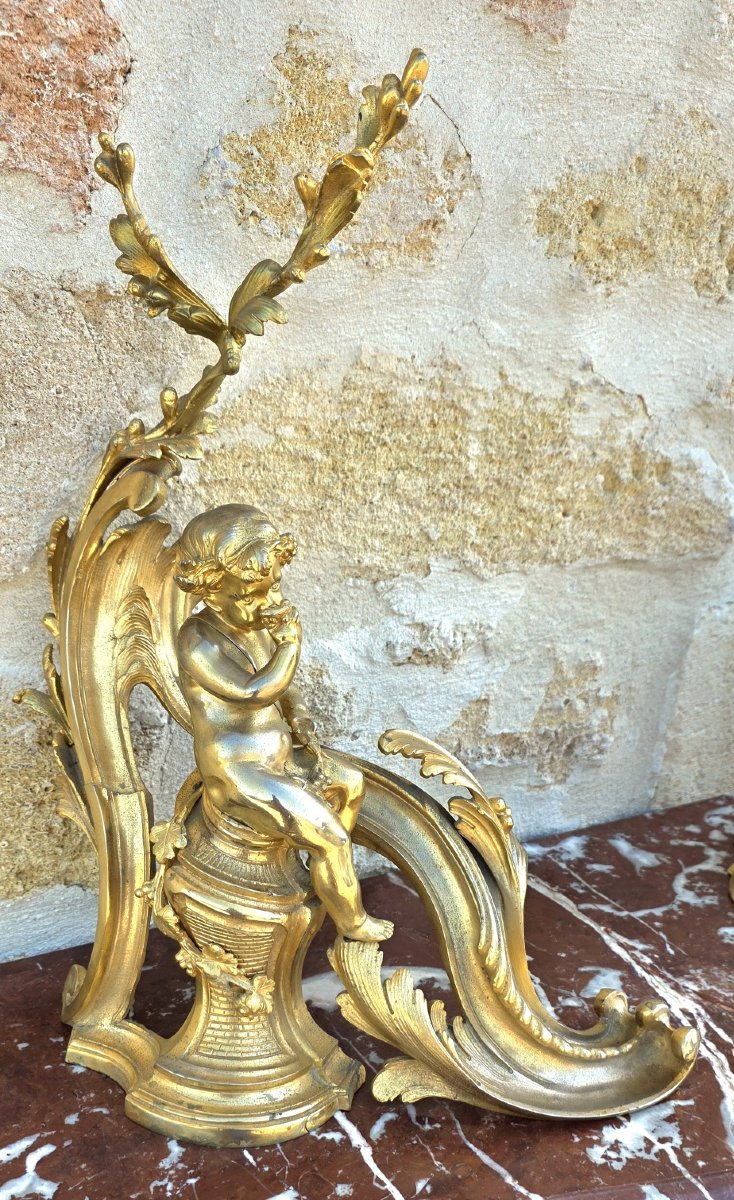 Paire de chenets au bacchus enfant en bronze doré-photo-4