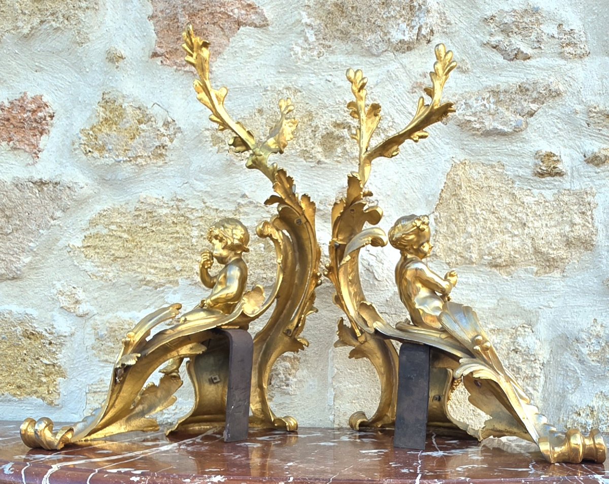 Paire de chenets au bacchus enfant en bronze doré-photo-5