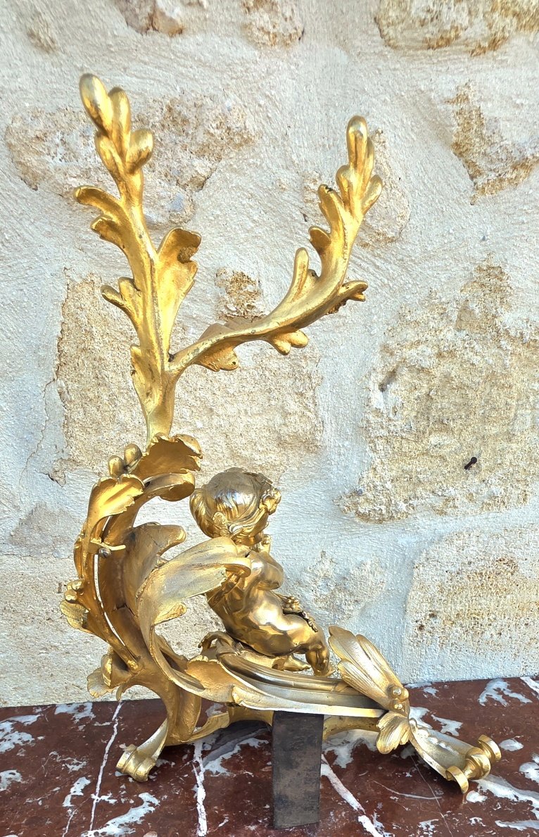 Paire de chenets au bacchus enfant en bronze doré-photo-7