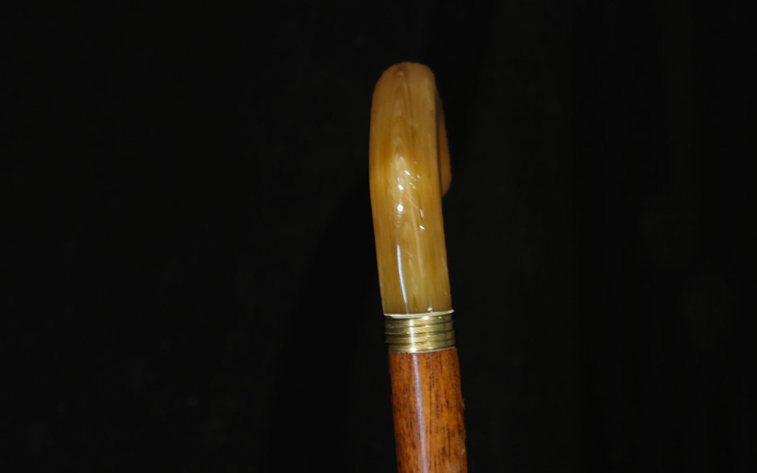 Bakelite And Rosewood Cane, Circa 1920-photo-4