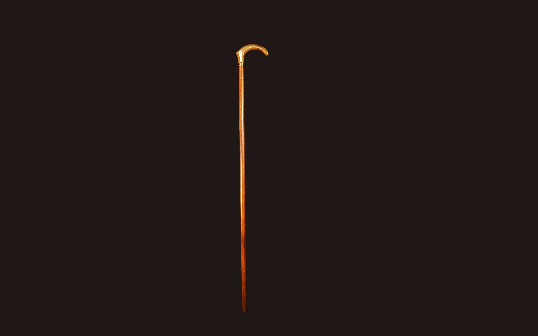 Bakelite And Rosewood Cane, Circa 1920-photo-2