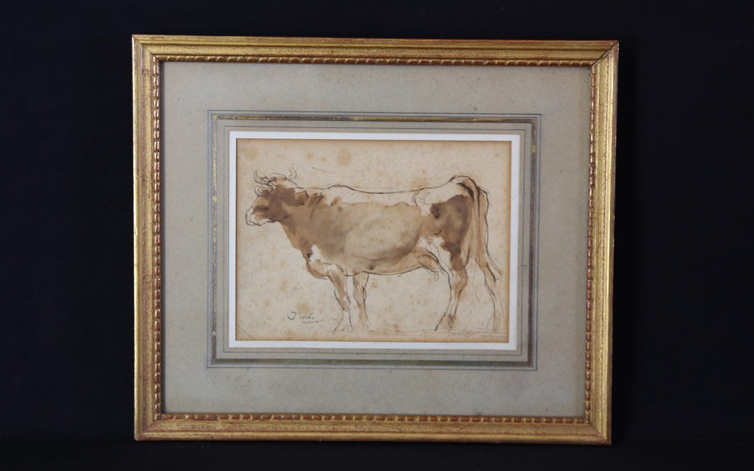 Lavis, vache XIXème siècle (36x30 cm)-photo-2