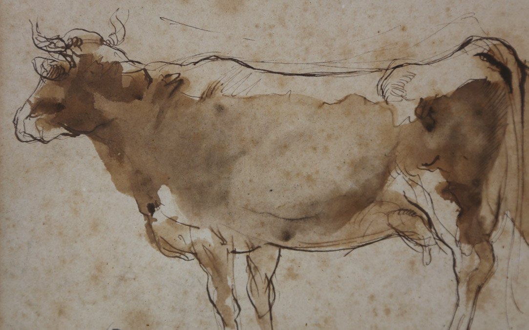 Lavis, vache XIXème siècle (36x30 cm)-photo-4