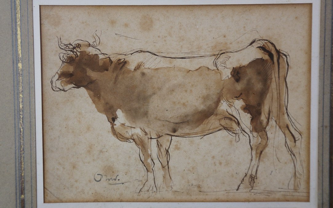 Lavis, vache XIXème siècle (36x30 cm)-photo-1