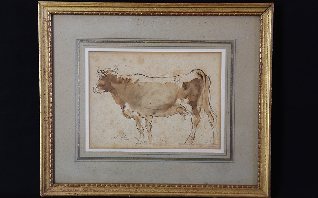Lavis, vache XIXème siècle (36x30 cm)