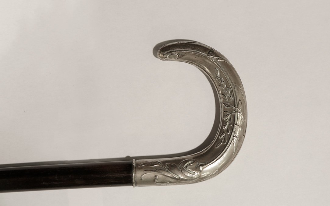 Cane, Rosewood, And Silver, Art Nouveau-photo-2