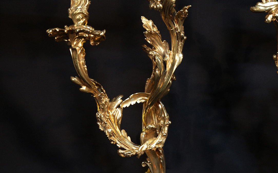 Louis XV Sconces, Gilt Bronze-photo-2