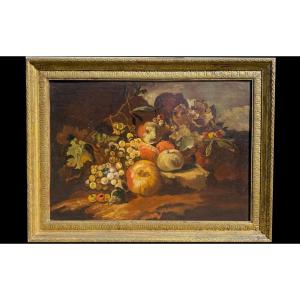 Huile Sur Toile, Nature Morte Aux Fruits, XVIIIème