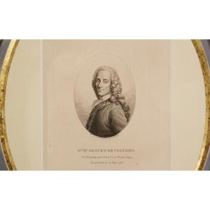 Engraving, Portrait Of Voltaire 