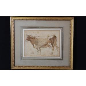 Lavis, vache XIXème siècle (36x30 cm)