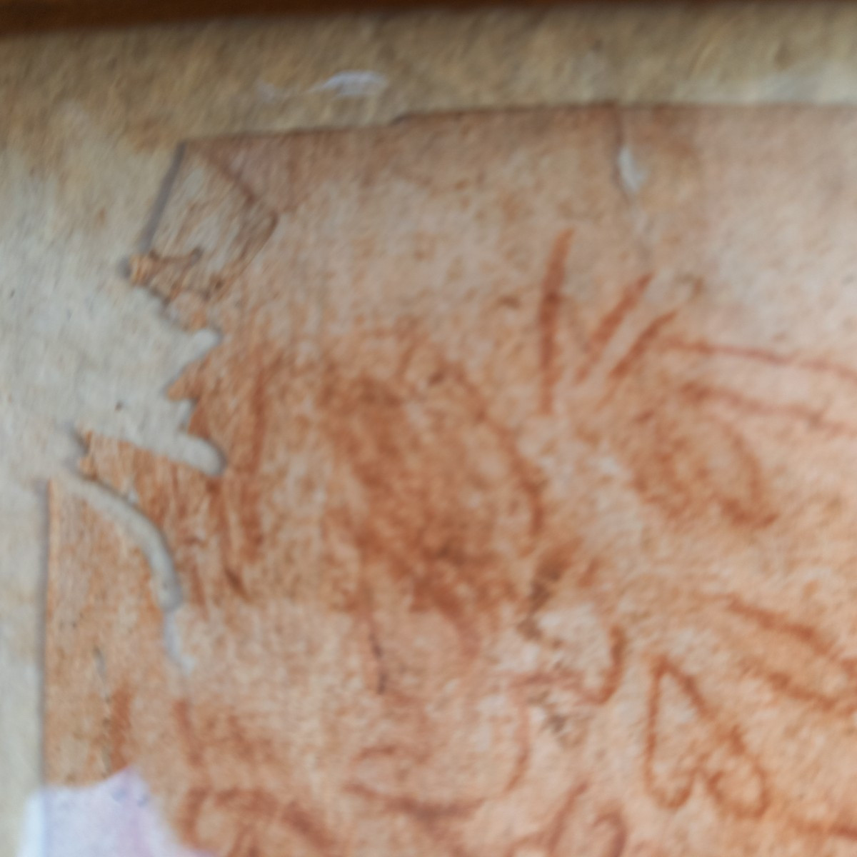 Dessin 16eme ou 17eme. Sanguine -photo-4