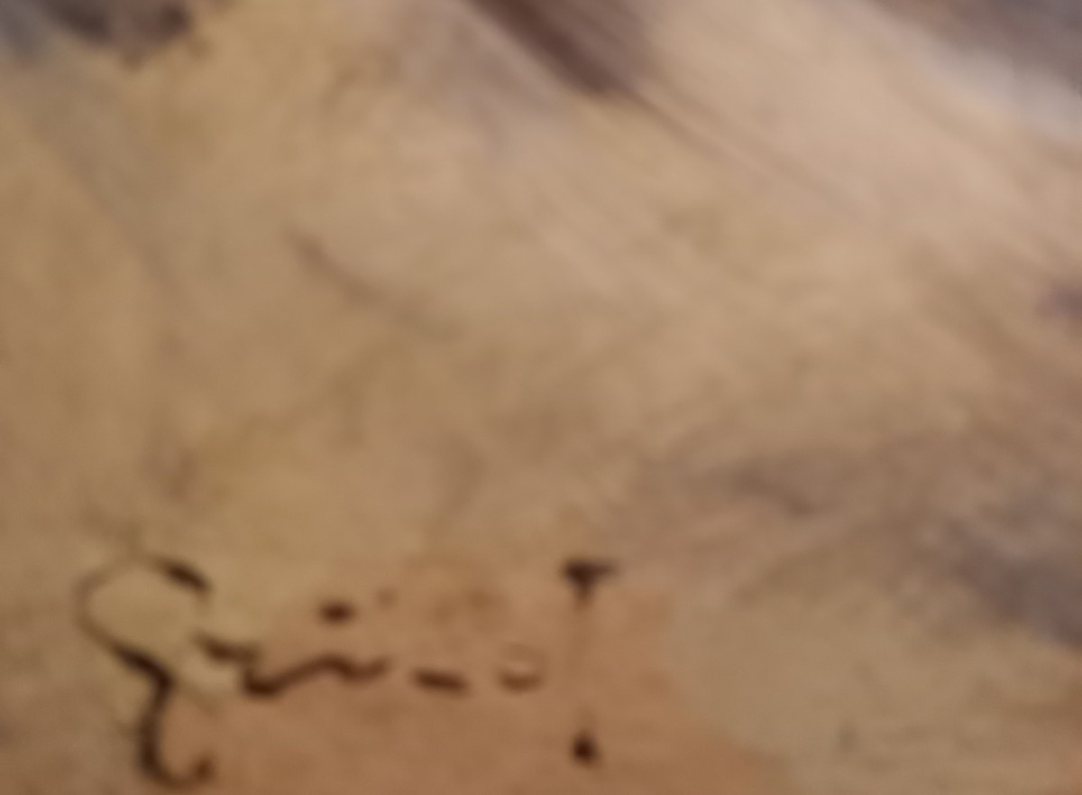 Oil On Hardboard. Pierre Grisot “naked”-photo-2