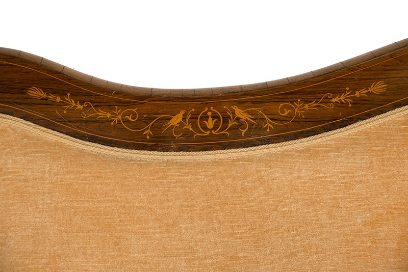 Antique Charles X French Sofa In Precious Exotic Wood With Maple Inlay With Leaf Motif.-photo-2