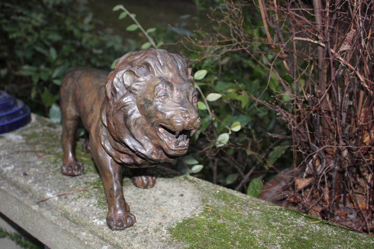 Bronze Sculpture: Lion  (pierre Chenet)-photo-1