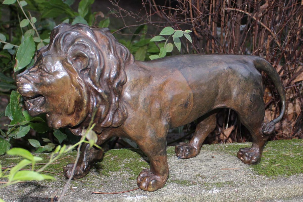 Bronze Sculpture: Lion  (pierre Chenet)