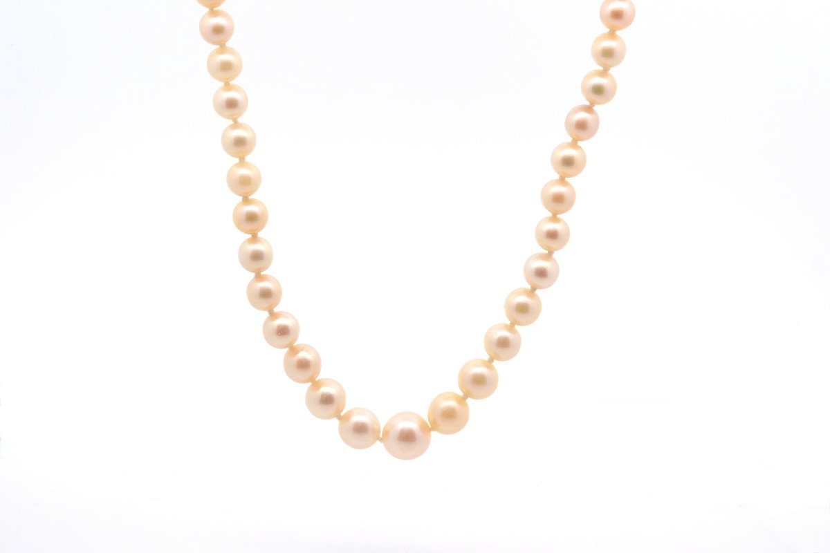 Collier Perles De Culture Et Fermoir En Or-photo-2