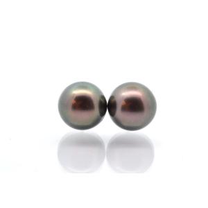 Tahitian Pearl Earrings In 18k Gold