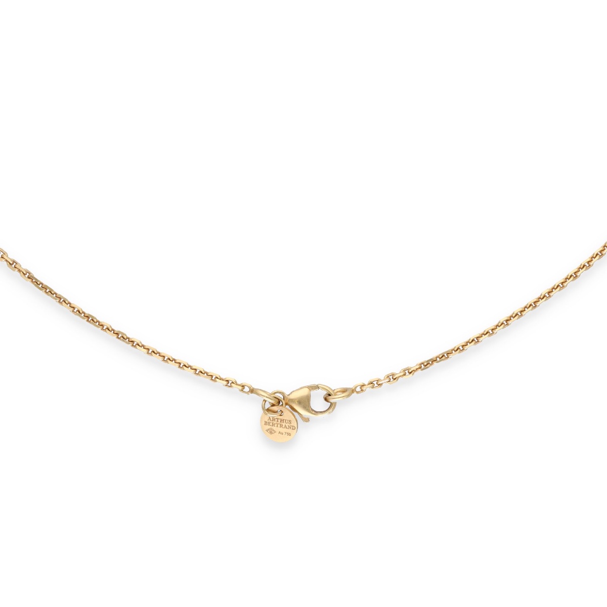  Collier médaille Arthus Bertrand-photo-2