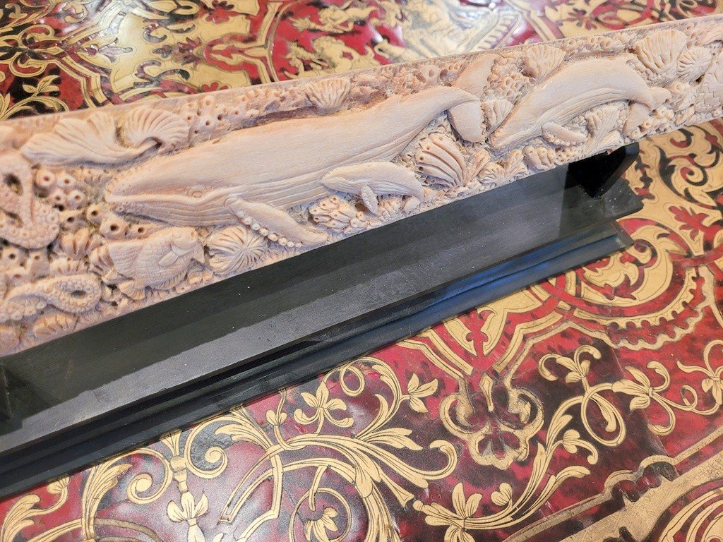 Large Carved Swordfish Rostrum “xiphias Gladius” -photo-3