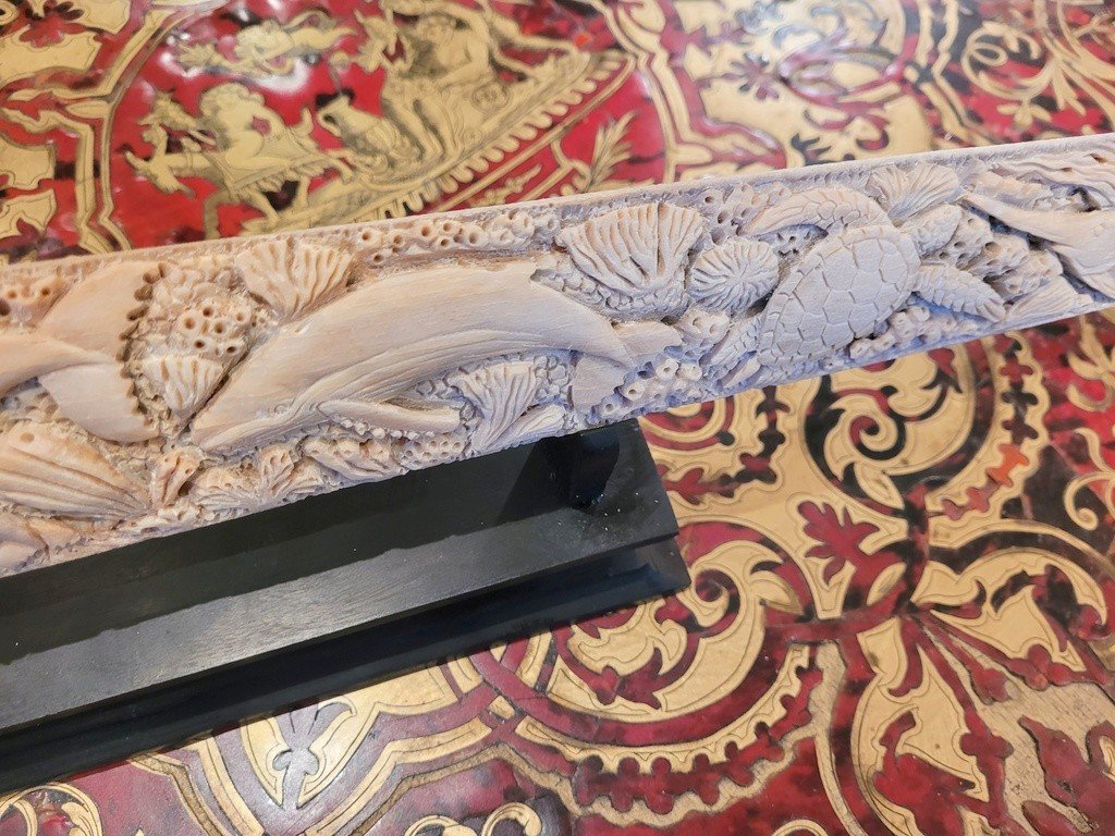 Large Carved Swordfish Rostrum “xiphias Gladius” -photo-4