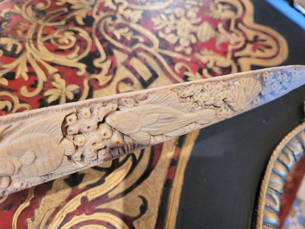 Large Carved Swordfish Rostrum “xiphias Gladius” -photo-3