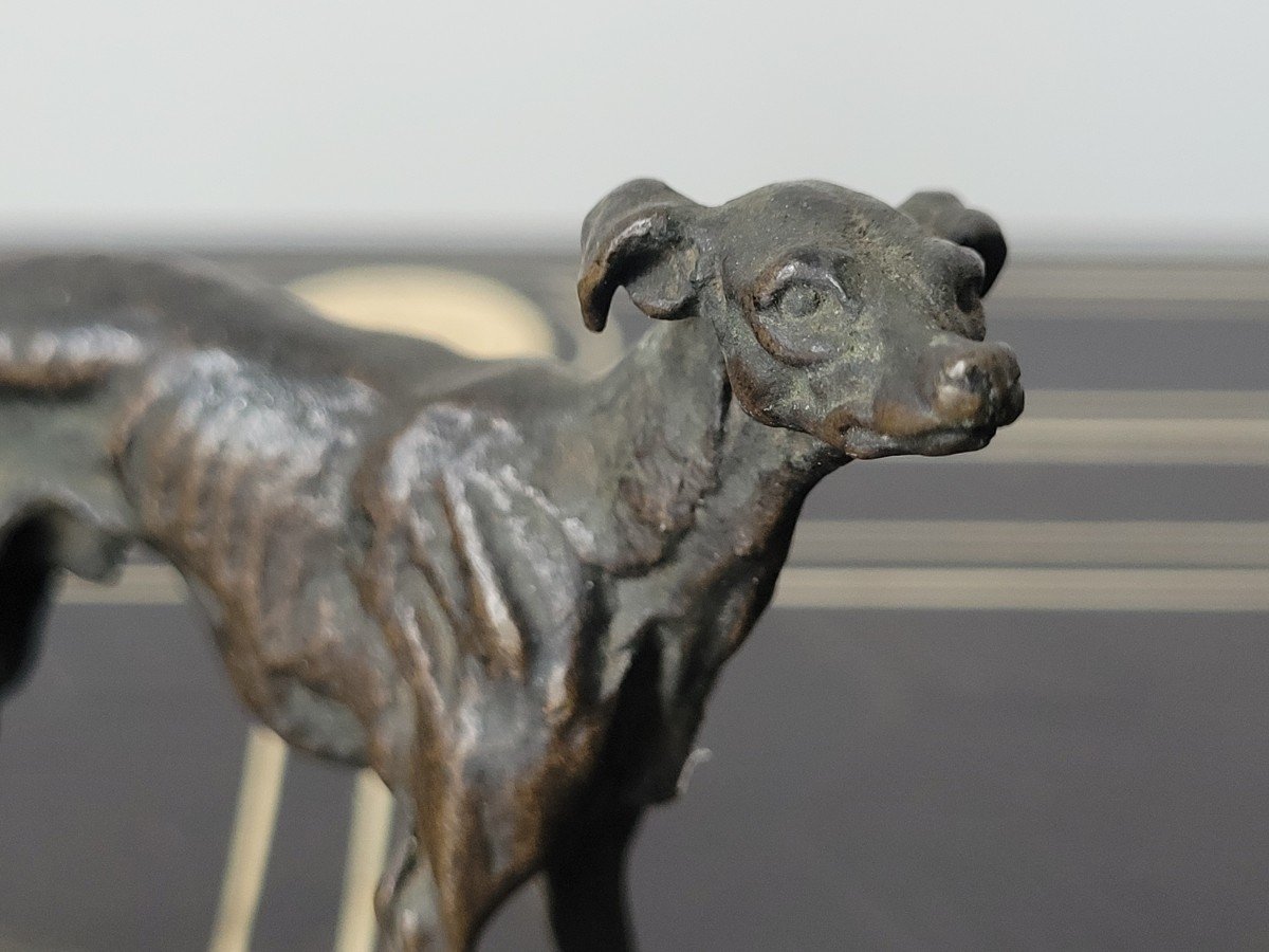Pierre Jules Mene "greyhound" In Bronze Signed - 19th Century-photo-2