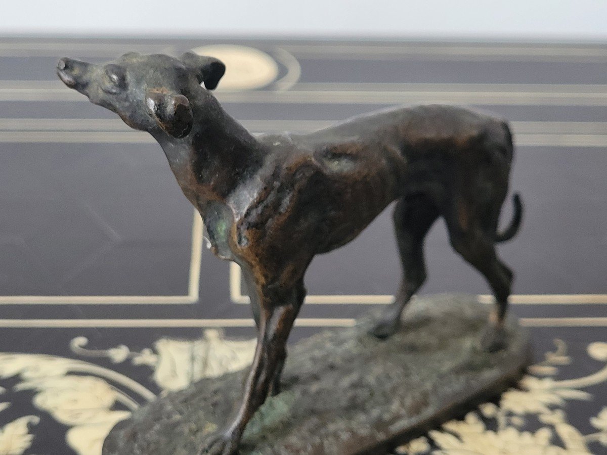 Pierre Jules Mene "greyhound" In Bronze Signed - 19th Century-photo-4
