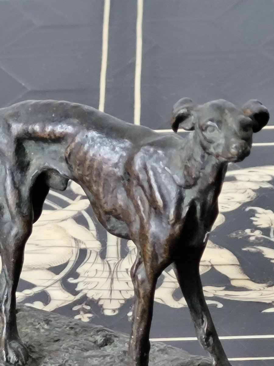 Pierre Jules Mene "greyhound" In Bronze Signed - 19th Century-photo-1