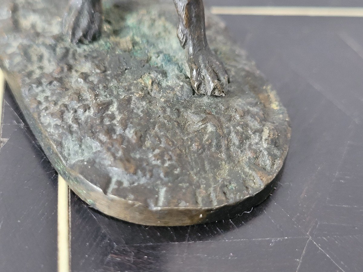 Pierre Jules Mene "greyhound" In Bronze Signed - 19th Century-photo-6