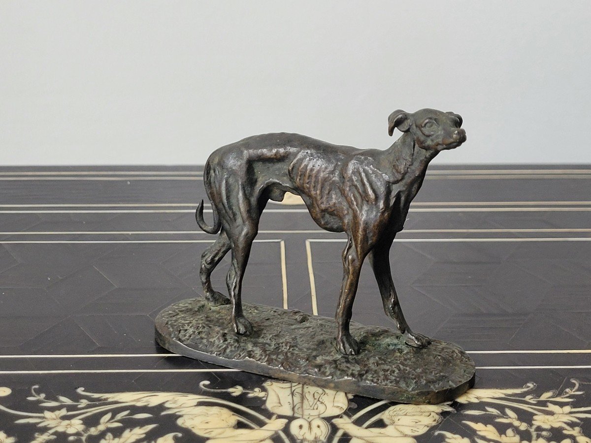 Pierre Jules Mene "greyhound" In Bronze Signed - 19th Century