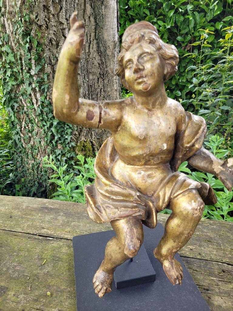   Grande Sculpture &quot; Putto &quot; en bois dor&eacute; sur socle - Travail Italien du XVIIIe Si&egrave;cle-photo-2