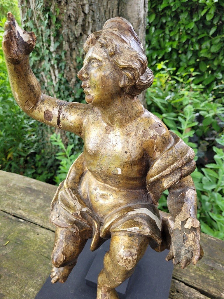   Grande Sculpture &quot; Putto &quot; en bois dor&eacute; sur socle - Travail Italien du XVIIIe Si&egrave;cle-photo-3