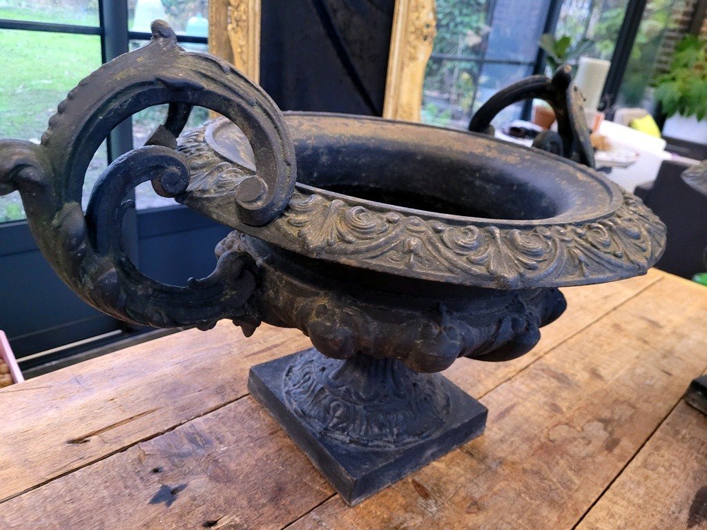  Paire de Vasques  M&eacute;dicis en Fonte - XIXe Si&egrave;cle -photo-3