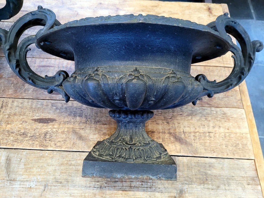 Paire de Vasques  M&eacute;dicis en Fonte - XIXe Si&egrave;cle -photo-4