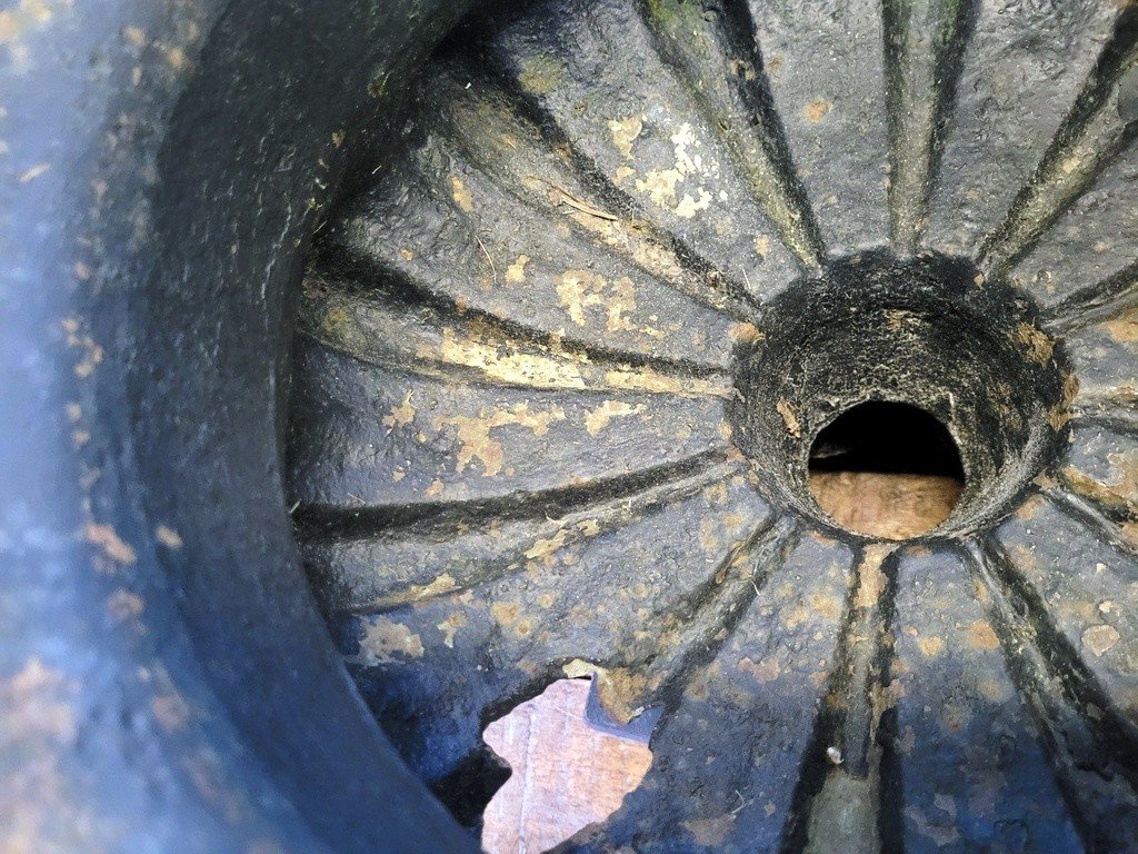  Paire de Vasques  M&eacute;dicis en Fonte - XIXe Si&egrave;cle -photo-7