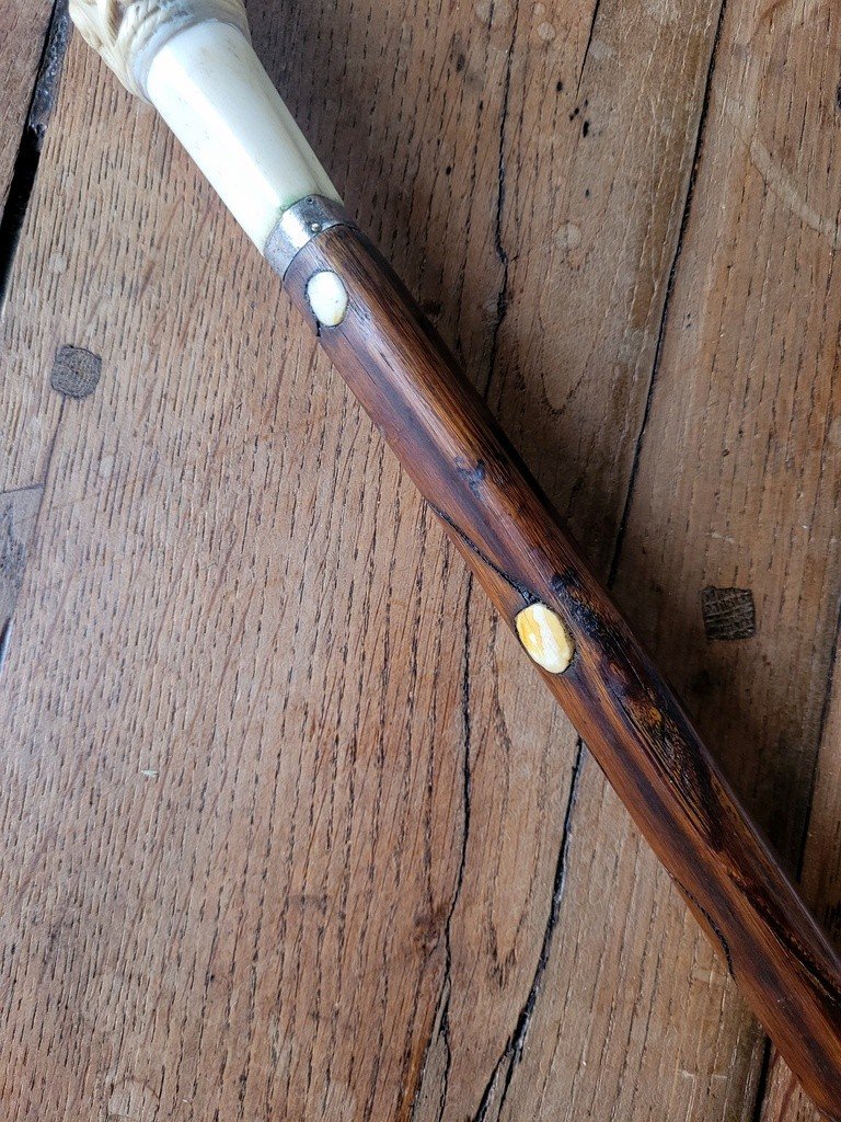 Antique Cane With Carved Knob - 19th Century-photo-2