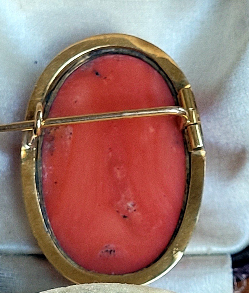  Cam&eacute;e en Corail Rouge mont&eacute; sur une Broche en OR Jaune - Poin&ccedil;on T&ecirc;te de Cheval (1830) -photo-6