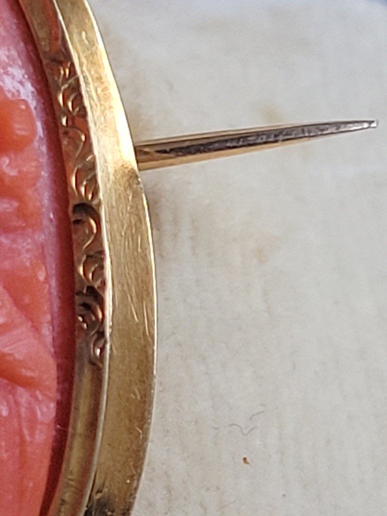  Cam&eacute;e en Corail Rouge mont&eacute; sur une Broche en OR Jaune - Poin&ccedil;on T&ecirc;te de Cheval (1830) -photo-7