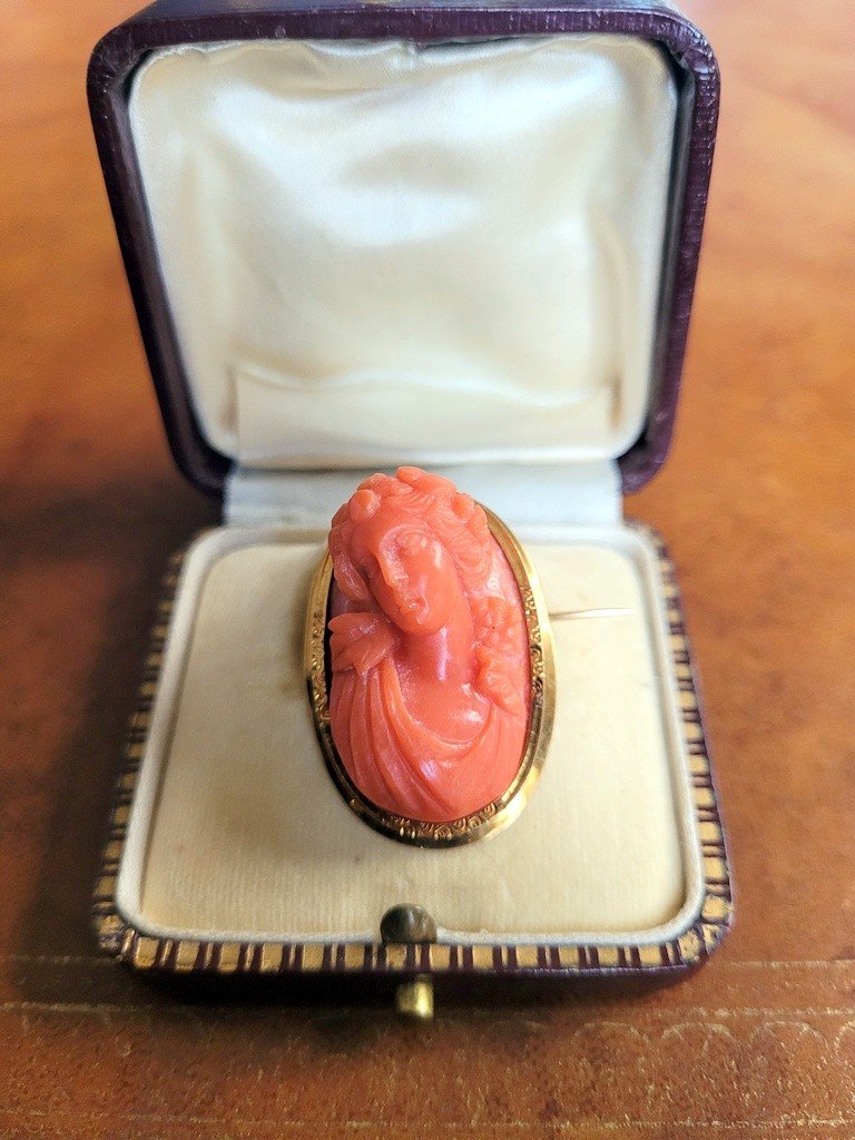  Cam&eacute;e en Corail Rouge mont&eacute; sur une Broche en OR Jaune - Poin&ccedil;on T&ecirc;te de Cheval (1830) 