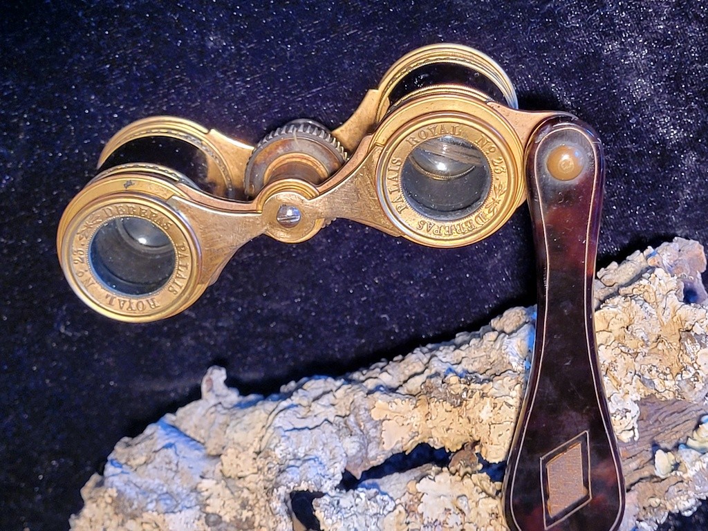  Paire de Jumelles de Théâtre en écaille et Or - XIXe Siècle 