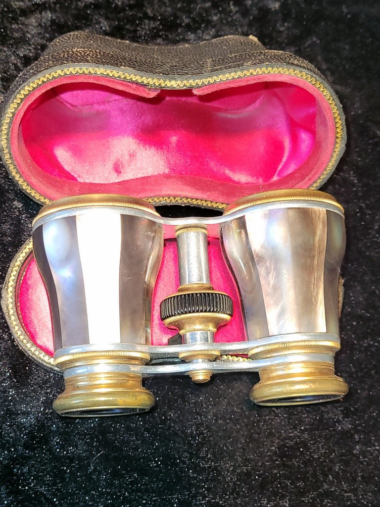  Pair Of Mother-of-pearl Veneered Theater Binoculars In Case - 19th Century 
