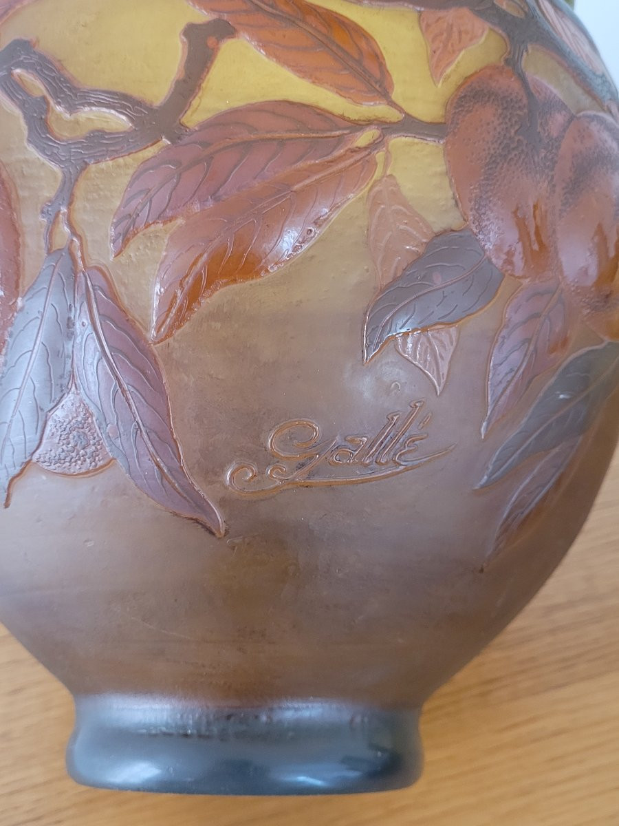 "gallé" Large Acid-etched Glass Paste Vase - Early 20th Century -photo-4