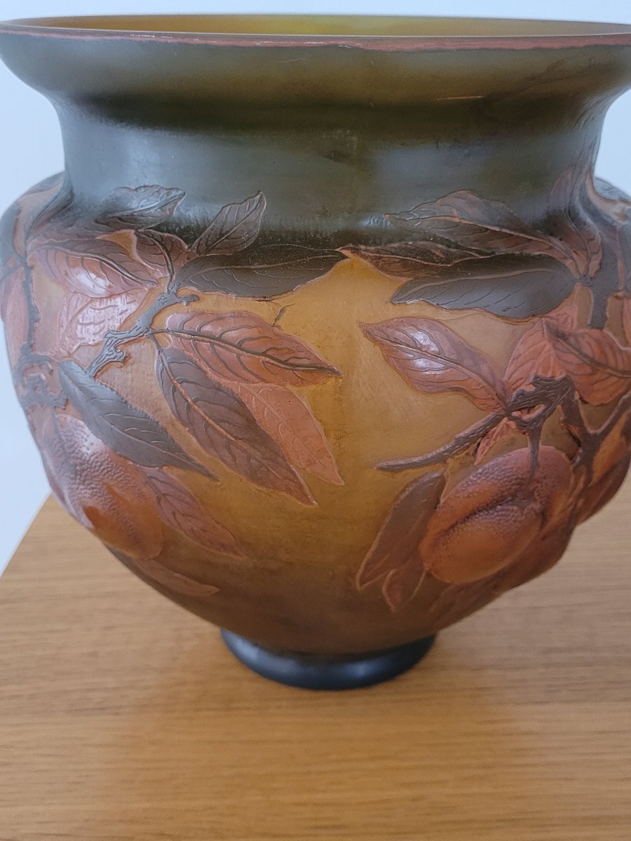 "gallé" Large Acid-etched Glass Paste Vase - Early 20th Century -photo-6