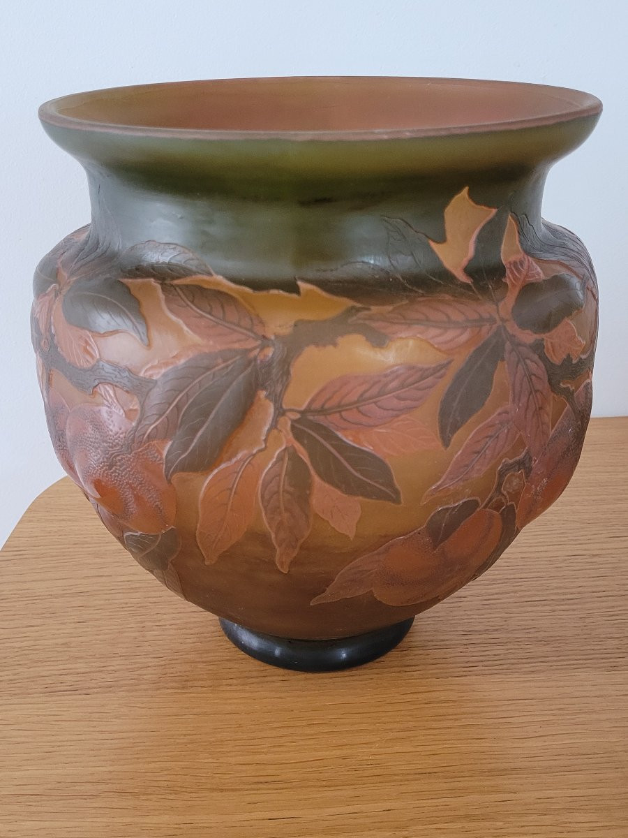 "gallé" Large Acid-etched Glass Paste Vase - Early 20th Century -photo-7