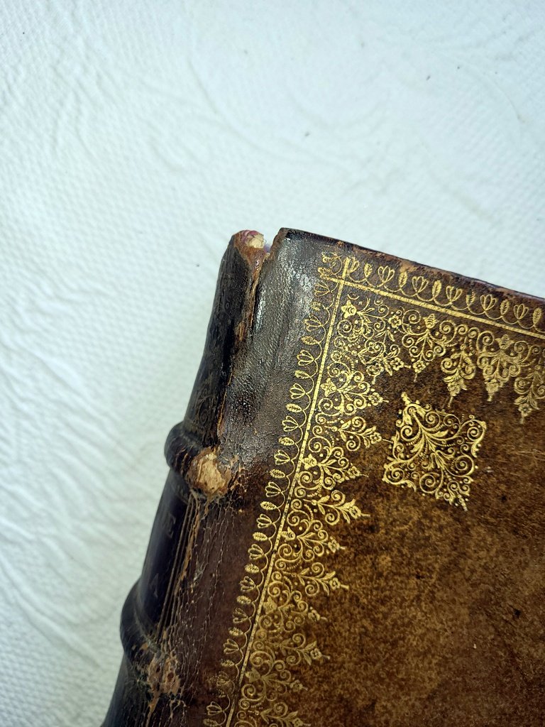 Très Grand Livre à Secrets datant du 17e Siècle (1688)-photo-6