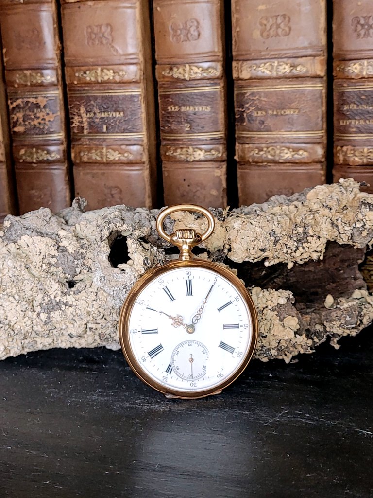 Montre Gousset  Homme en OR - XIXe Siècle-photo-2