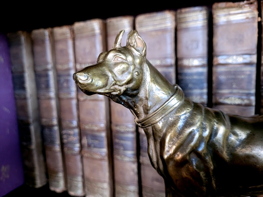 Antoine Louis Barye "the Doberman" Bronze With Gilt Patina, Signed On The Base - 19th Century-photo-2