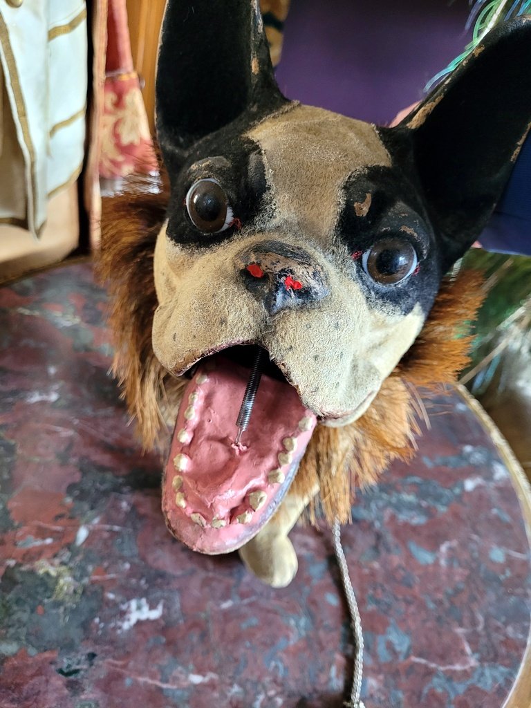 Bouledogue Aboyeur sur roulettes en Papier M&acirc;ch&eacute; - Fin XIXe D&eacute;but XXe Si&egrave;cle-photo-3